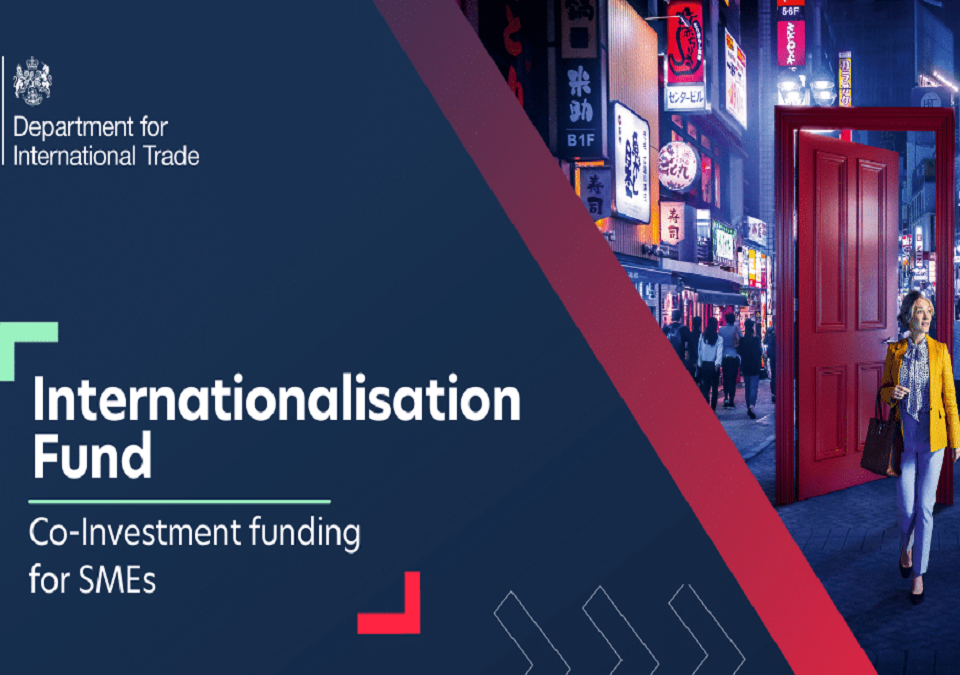 International fund logo