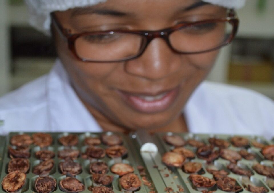 Madagascar chocolate business