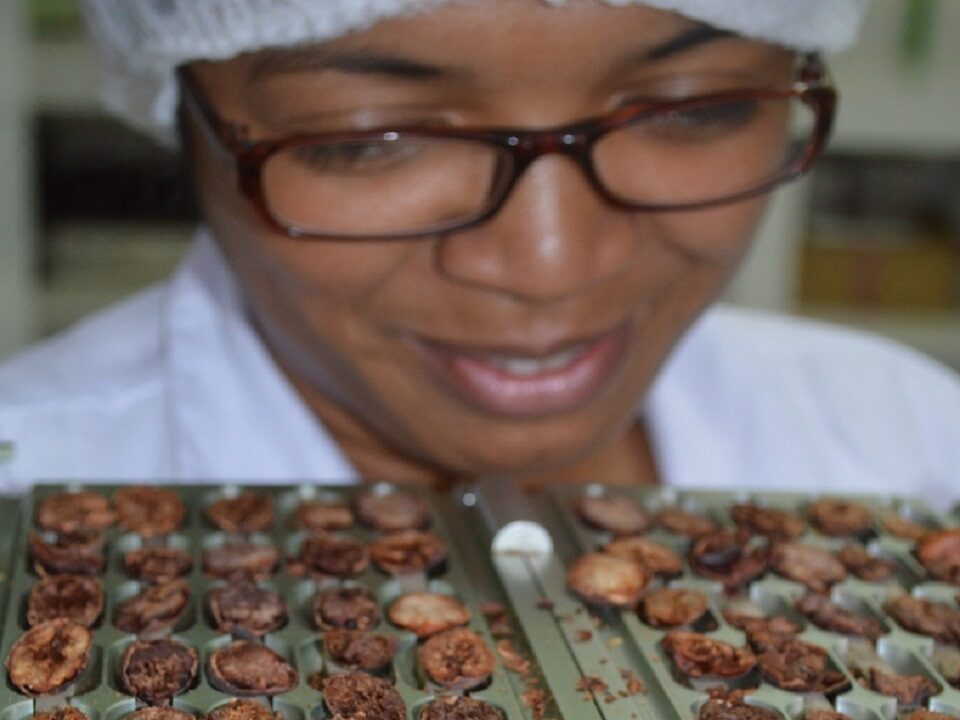 Madagascar chocolate business