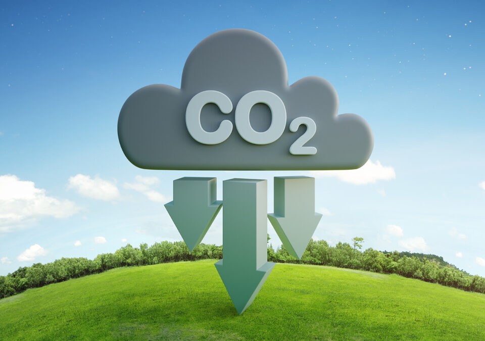 CO2 cloud icon on earth and green grass in environmental concept.