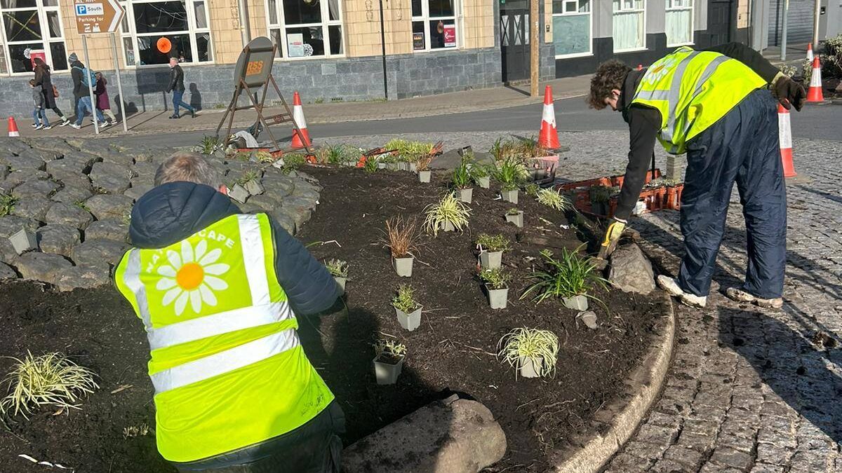 Landscapers planting on the roundabout