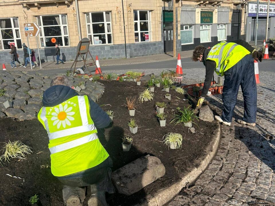Landscapers planting on the roundabout